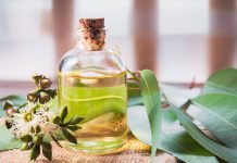 Sử dụng tinh dầu đuổi muỗi: Hiệu quả và an toàn?